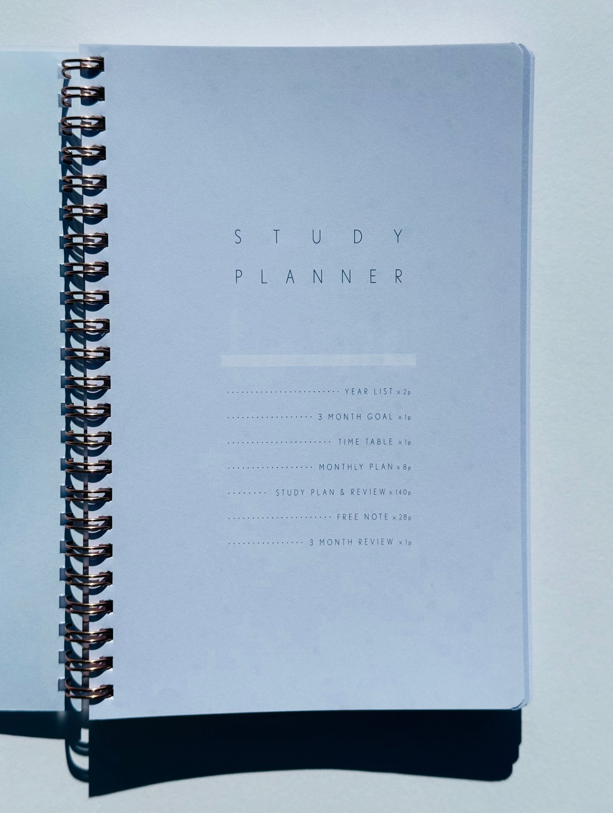 DAILY TYPE Study Planner [LIMITED QUANTITY]