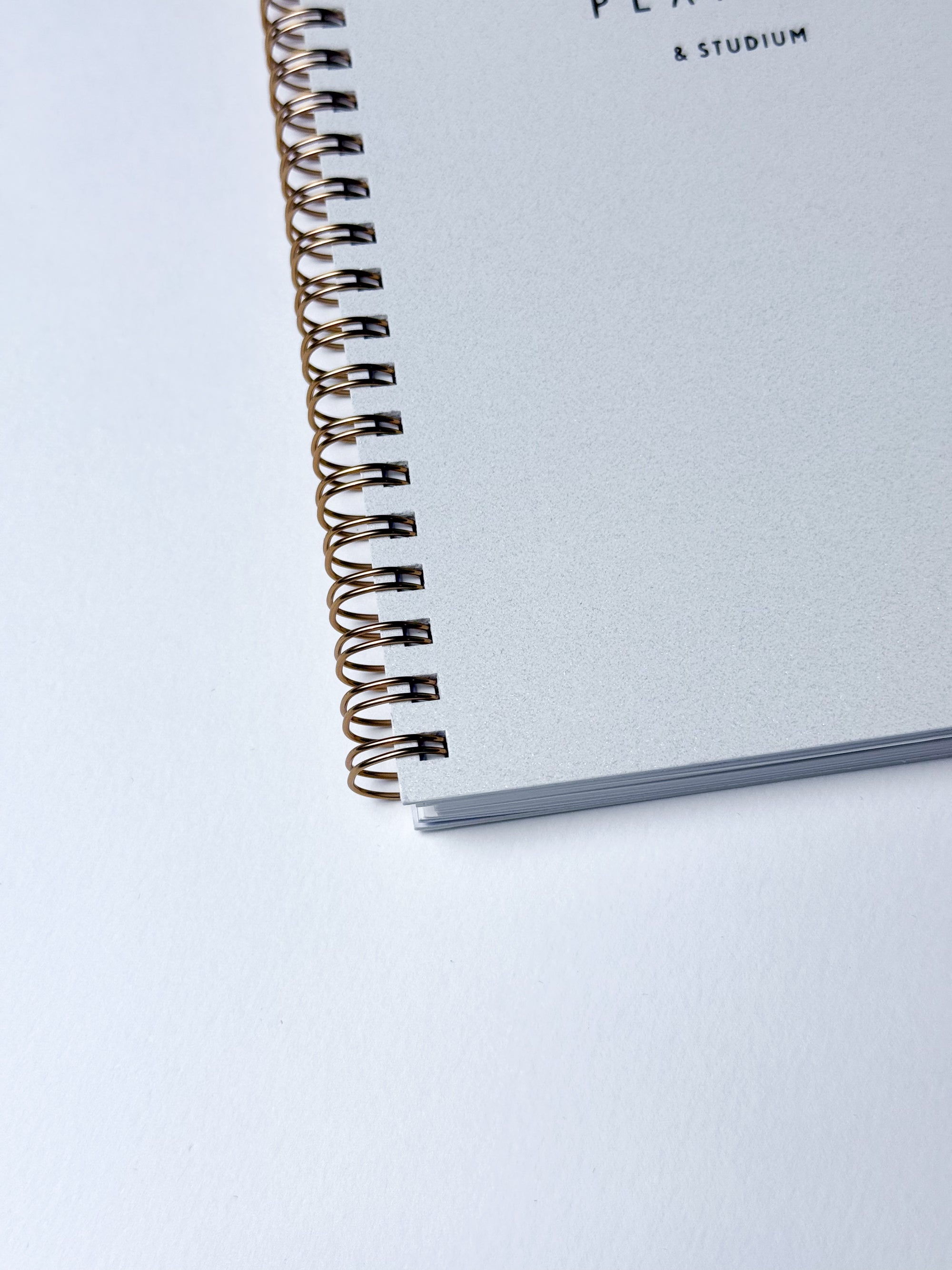 DAILY TYPE Study Planner [LIMITED QUANTITY]