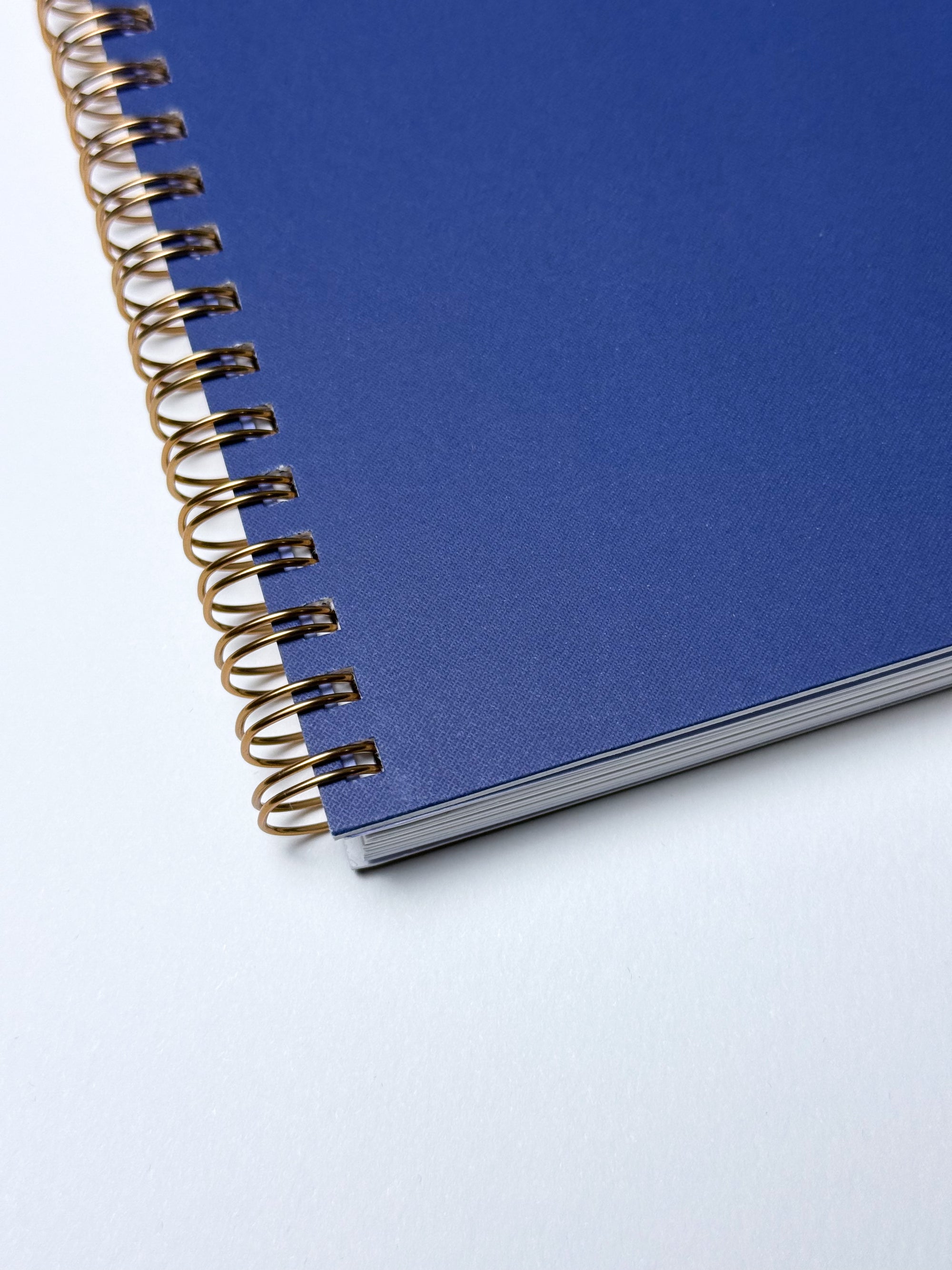 DAILY TYPE Study Planner [LIMITED QUANTITY]